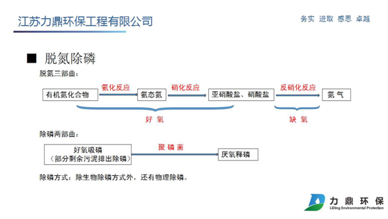 脫氮除磷介紹